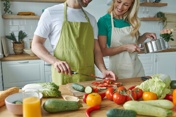 Close-up of young couple cooking together at the domestic kitchen