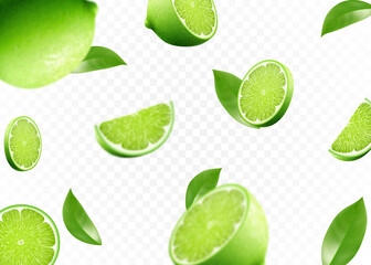 Flying fresh limes and lime slices with leaves. with blur effect. Vector 3d realistic illustration isolated on white background.