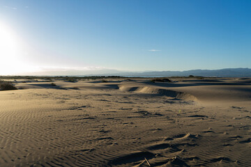 sand dunes on the beach