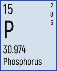 Periodic Table of the Elements Phosphorus icon vector image