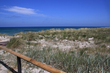 Fototapeta premium path to the sea