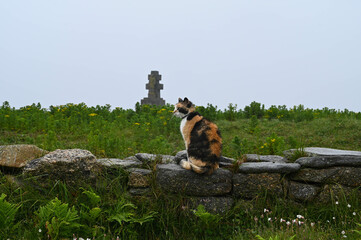 Chat et monument aux morts