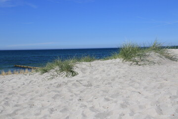 sand dunes on the beach