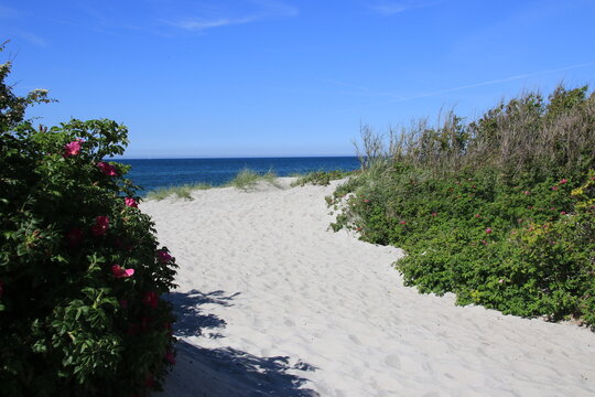 beach in the morning