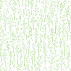 Fototapeta na wymiar Seamless pattern of arugula lettuce leaves. linear drawing. on white background. botanical illustration. plant with elegant leaves. healthy eating