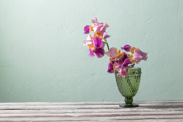 irises in  beautiful glass vase against  green wall
