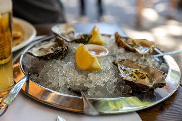 Oysters on ice over the table