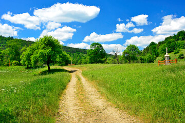 Fototapeta na wymiar Green fields, rural road, wayside shrine and mountains summer landscape, Nieznajowa, Low Beskids, Poland