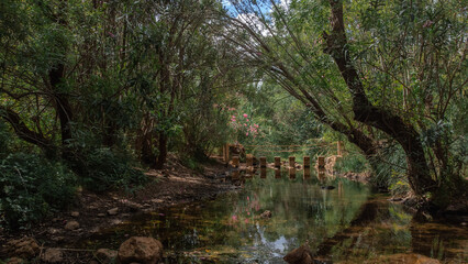 Fototapeta na wymiar Beautiful landscape with a rope bridge and stepping stones hidden in the middle of a forest in Loulé