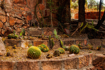 Jardín de Cactus, Cerro Colorado, paraje ubicado en Córdoba, Argentina