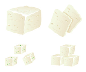 Tofu cheese isolated set. Vector flat graphic design element illustration