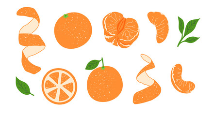 Peeled tangerine or mandarin icons set. Whole fruit, half, slices and leaves isoleted cliparts. Exotic tropical orange citrus fruit drawing