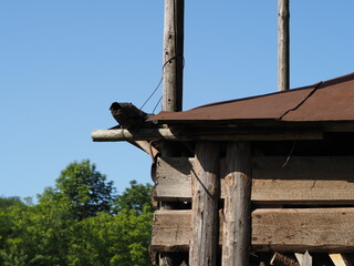 old wooden house
