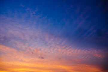 Obraz premium 初夏の優しい色の空