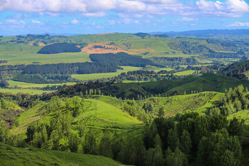 Fototapeta na wymiar landscape with hills and trees