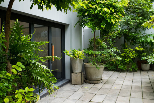 Modern door in summer garden.