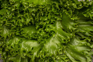 Green lettuce leaves. Flat lay.