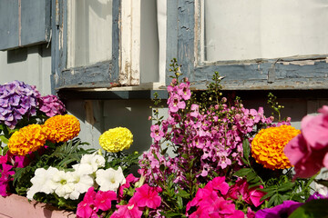 Fototapeta na wymiar shabby beach cottage with pretty flower box in the window