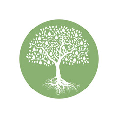 Obraz premium peer fruit tree svg icon