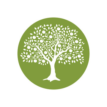 apple fruit tree svg icon