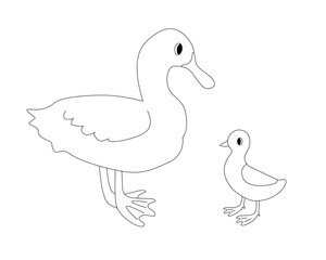 Cute duck with duckling outline illustration. Domestics birds isolated on the white background.
