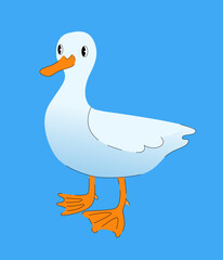 Cute duck vector illustration. Domestics bird isolated on blue background.