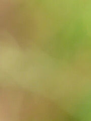 Pale green wall background or texture. Light green and soft grade empty recyclable paper texture peaceful background minimalism concept