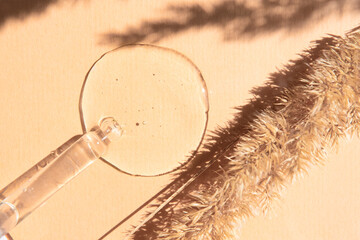 Liquid transparent collagen with a glass dropper on a beige background with a plant.