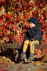 A portrait of a little sad boy in the autumn park in a colorful foliage background.