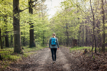 Obraz premium Hiking in forest. Woman with backpack walking on footpath in woodland