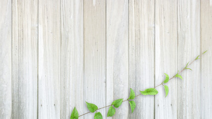 木目背景とグリーン