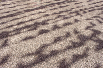beautiful cement texture on a sunny day