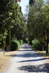 Die Landschaft in der Toscana 