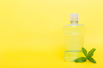 Mouthwash and fresh mint on colored background, top view with copy space for text