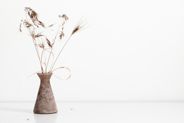Dried flowers in vase on table. Bouquet ofdry grass, spikelets on shelf on background white wall.