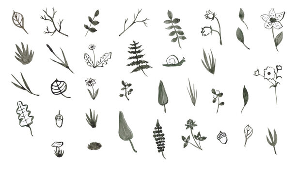 Big green forest collection. Watercolor set of forest elements. Hand drawn illustration