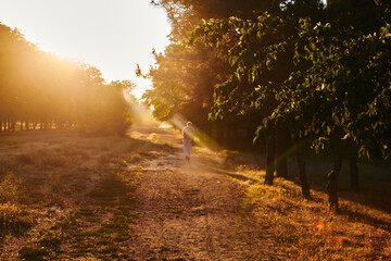 morning in the forest