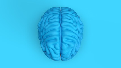 3d render blue brain top view one color bacground blue