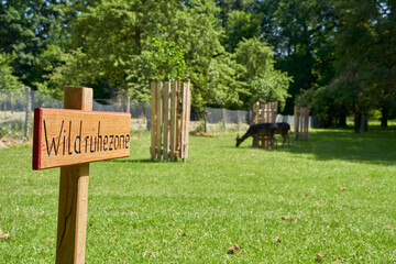 Wildlife resting zone in park in front of trees in the sunny summer. Area serves for the protection and recreation of animals. Deers in Background. Translation on the Sign: Wildlife Rest Area