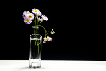 背景素材の小さい花