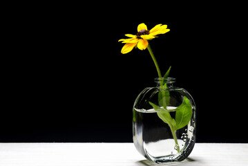 背景素材の小さい花