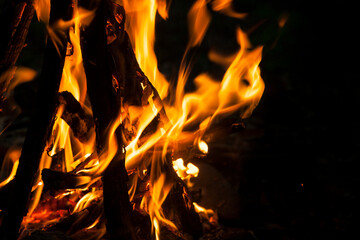 Burning woods with firesparks, flame and smoke. Strange weird odd elemental fiery figures on black...