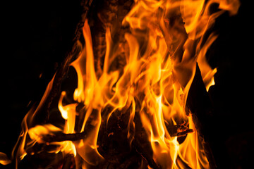 Burning woods with firesparks, flame and smoke. Strange weird odd elemental fiery figures on black background. 