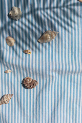 Different kinds of seashells with palm leaves shadows on the blue striped fabric background top view	
