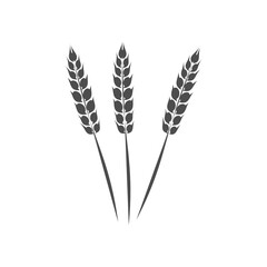 Wheat ear icon. Vector drawing of three gray spikelets.