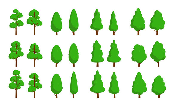 Vector trees set - Collection of flat design green cartoon trees on white background
