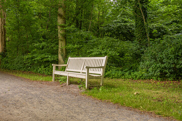 bench in the park