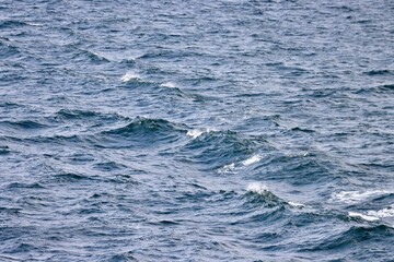 Naklejka na ściany i meble Waves far in open Baltic sea. Deep blue water, white foam on top of waves. Photo taken from ship
