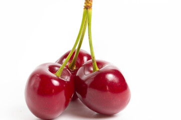 triple cherry bunch on white background and text space