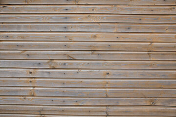 Obraz premium .Wooden texture.